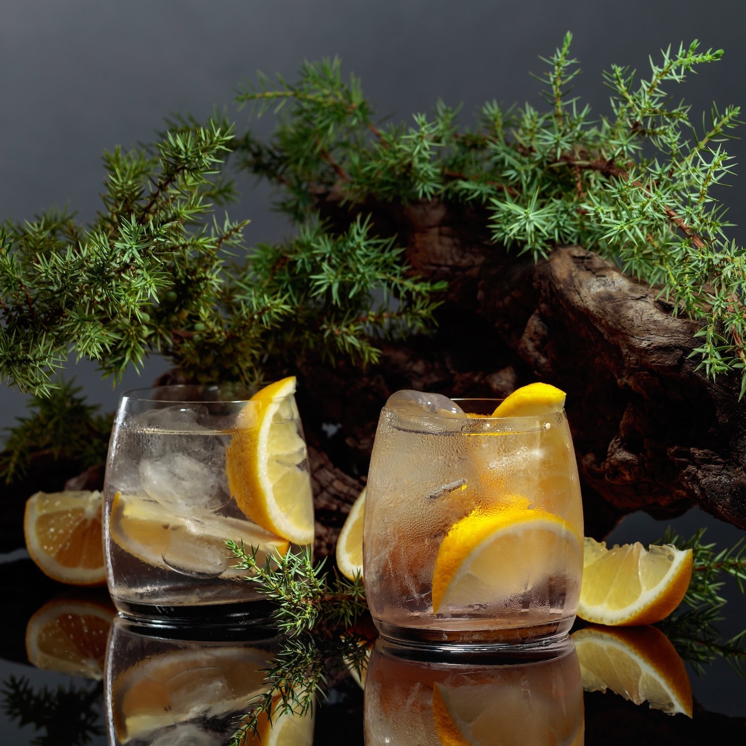 SALTED LEMON G&T