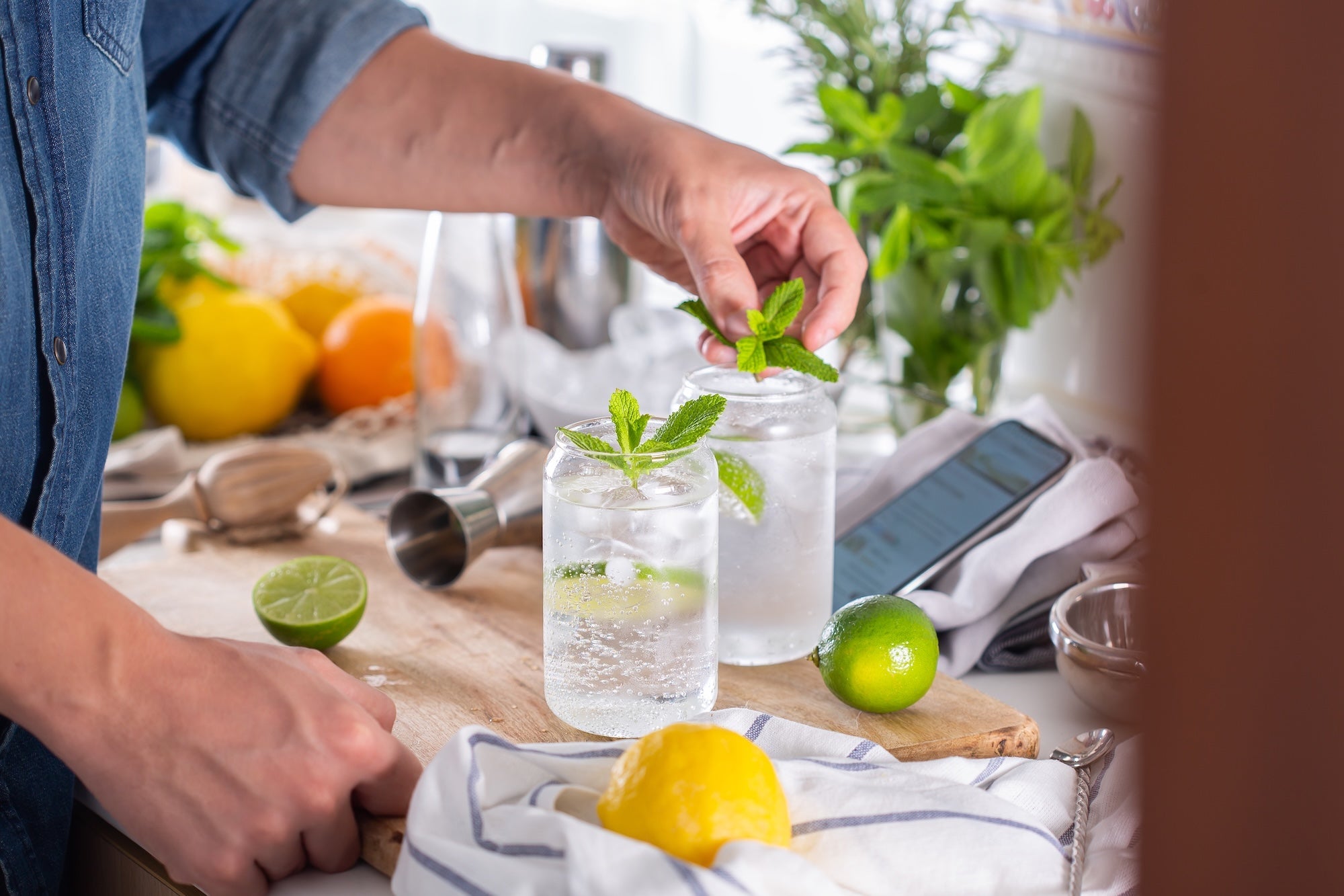 MAKE YOUR OWN QUININE TONIC OR DIET TONIC AT HOME WITH YOUR SODA MAKER
